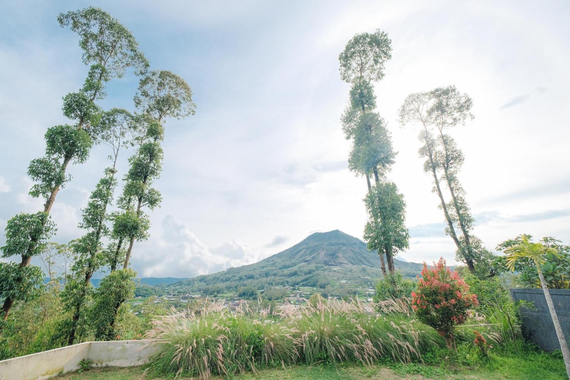 Bunbulan Panorama Bed & Breakfast Kintamani  Luaran gambar